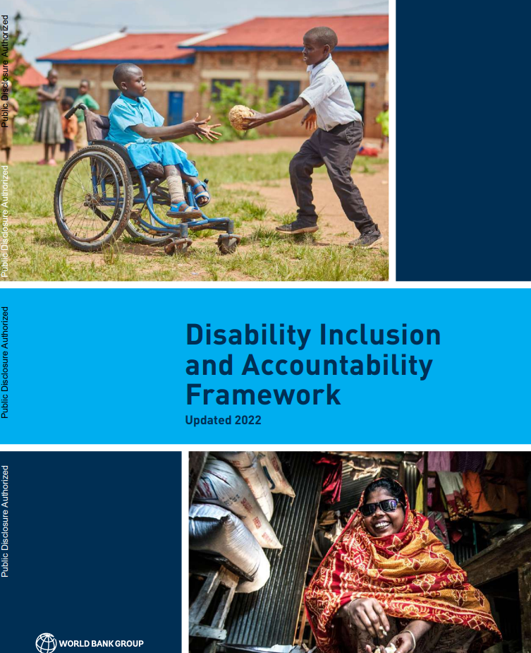 Disability inclusion and accountability framework (English)
