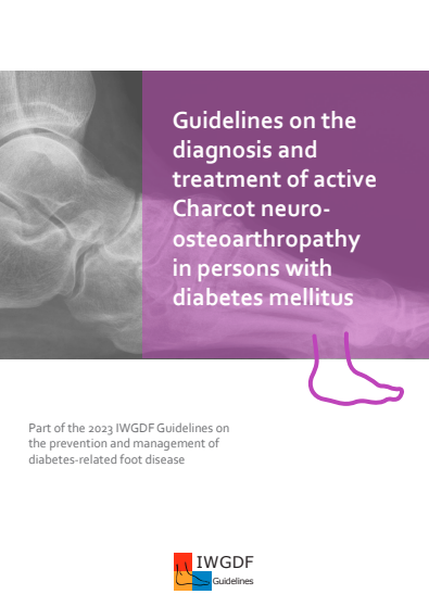 International Working Group on the Diabetic Foot (IWGDF) Offloading guideline (2023 update)